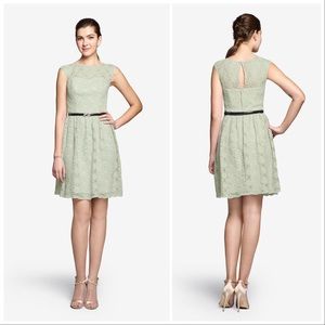 New Gather & Gown bridesmaid short cocktail dress lace mint green belted size 6